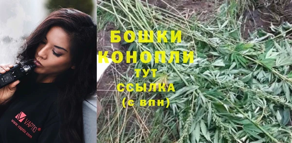 MESCALINE Нефтекумск