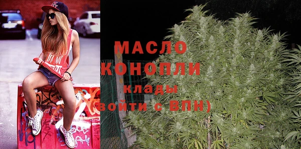 индика Наволоки